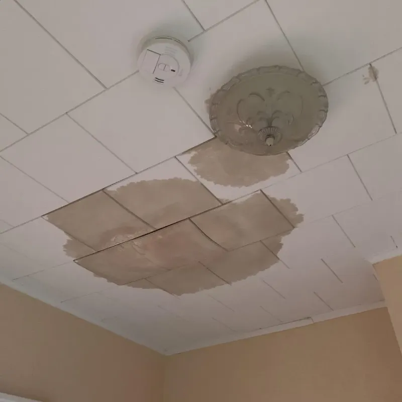 Ceiling Water Damage Repair in Beebe, AR
